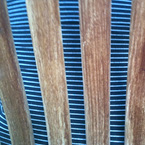 smalldoublestripe