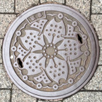 manhole small