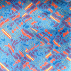 bus seat london small