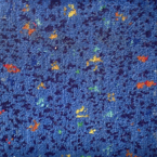 bus seat marbella s