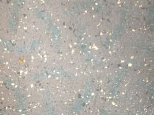 bus floor b