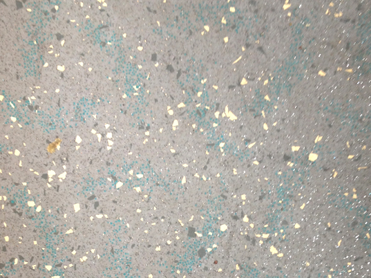 bus floor b