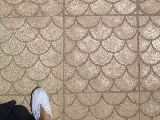 floor ciutadella b