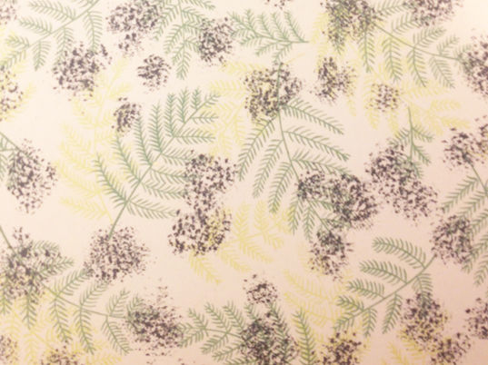 leaves b