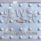rose water s