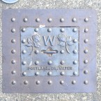 rosewater b