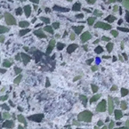 speckle s