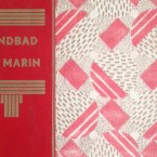 book cover b